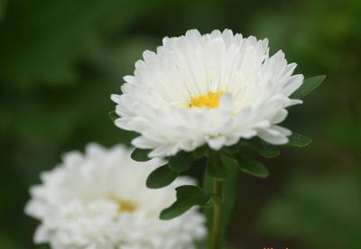 鹽田代理公司法人、地址、股權(quán)變更與代理工廠變更及云平臺(tái)服務(wù)全面指南